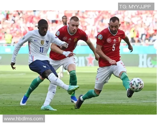 南京网球队的阵地战打法深度分析与战术解读